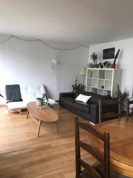 Luxury Centric Flat In Parijs